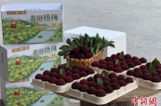 五夫临门高速赋能产业升级：一条“杨梅路”的致富密码