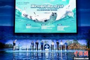 五夫临门辽东湾海域斑海豹种群数量呈现稳定增长